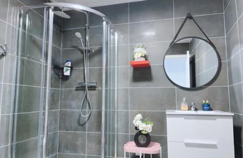 Fontenay-le-Comte Apartment | Apt 67m2 hyper centre: 2 chambres, cuisine TV wifi