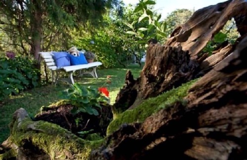 El Franco Apartment | Apt Casa El Llombo in the middle of nature with swimming pool and 15 min. of the beach