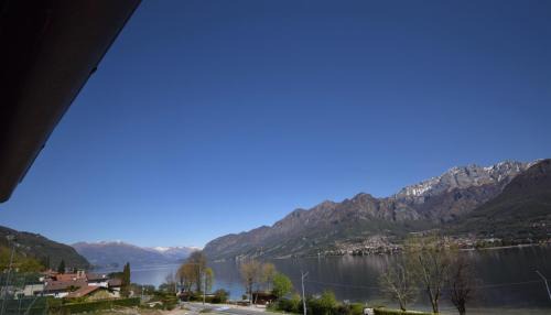 Oliveto Lario Apartment | Apt Jolanda Bellagio Wild Flowers