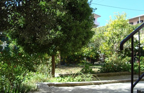 Jesenice Apartment | Apt Vedrana - 150 m from the beach