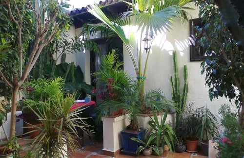 El Guincho Apartment | Aptos Monasterio de San Antonio 1