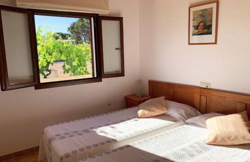 Sant Francesc Xavier House | Aptos rurales Can Pep de Sa Barda - Viñedos y tranquilidad
