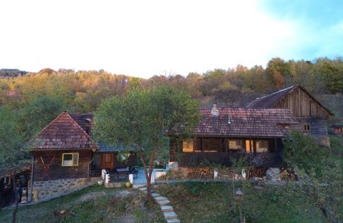 Buces House | Apusenia - darul naturii