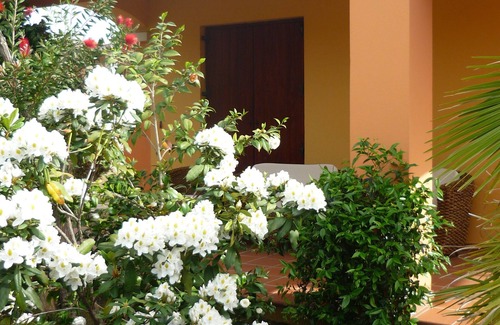 Arbatax Villa | arbatax tortoli: elegant and prestigious villa with green lawn and flowers