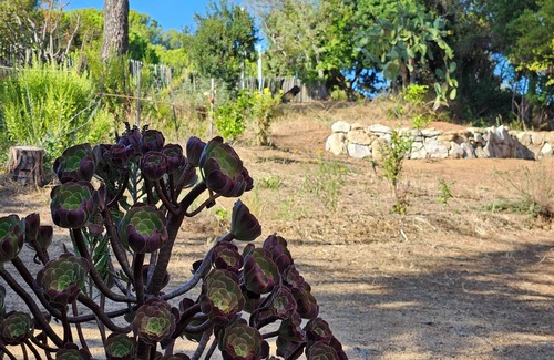 Molini Villa | Arbutus trees. Top of house with garden. 500 meters from the beach.