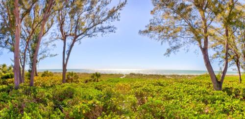 Wulfert House | Arcadia-Stunning Gulf Front Beauty! home