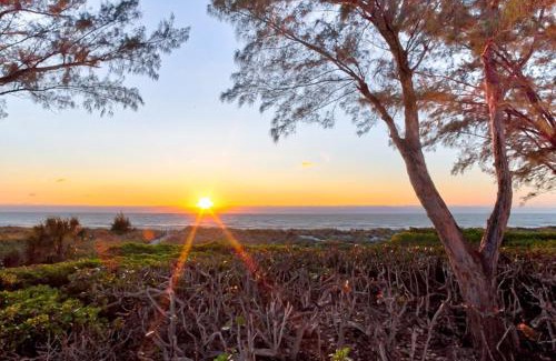 Wulfert House | Arcadia-Stunning Gulf Front Beauty! home