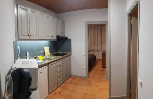 Salardu Apartment | ARGULLS de Apartamentos Rufaste
