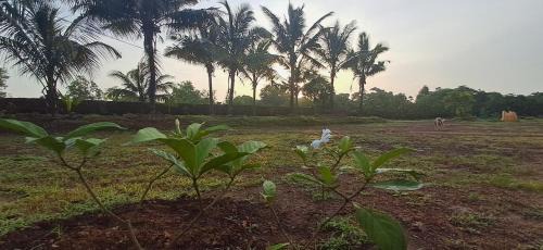 Devbag House | Arpita FarmStay