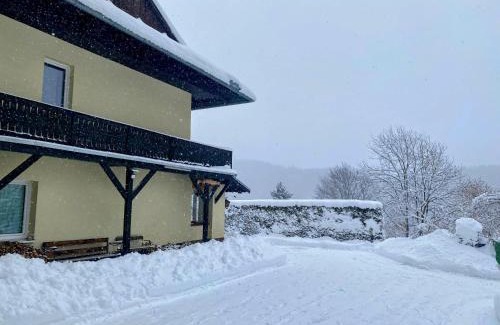 Semmering Apartment | Art in Waldfrieden