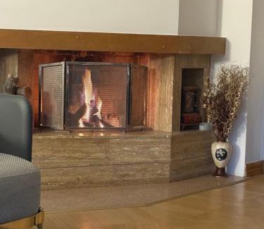 Novo Sarajevo Apartment | Art of Living luxury suite - with garage