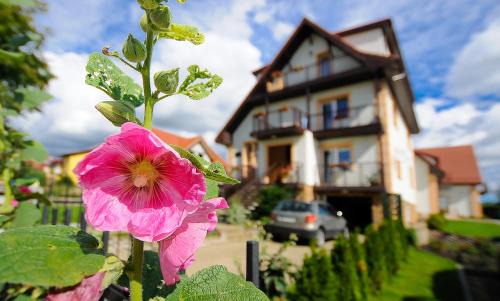 Drawsko Pomorskie Bed & Breakfast | Artemis