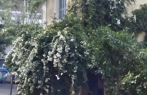 Mets House | Artistic period house in Mets, central Athens