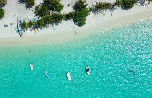 Hanimaadhoo Hotel | Arutha Resorts Ocho Lux by Eight Continents