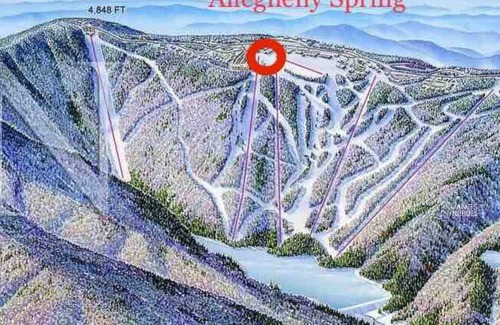 Snowshoe Condo | AS 333|Luxury condo,Slopes,Hot tub,Pool|Wifi