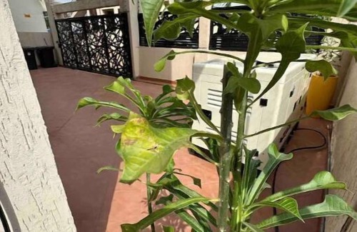 Tema Apartment | Aspen Residence Flat D