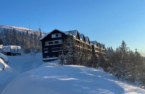 Atra Apartment | Astonishing Mountain Lodge at the top of Gaustablikk, 25m2 west facing terrace, 3 bedrooms