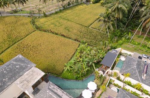 Keliki Resort | Asvara Luxury Resort & Spa Ubud by Ini Vie Hospitality