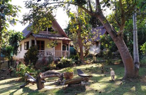 Chiang Dao Resort | At Home Chiang Dao, Pooch Lovers