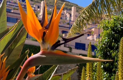 Mojacar Apartment | Atalaya de Mojacar