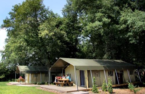 Municipality of Haaksbergen Other | Atmospheric tent lodge with dishwasher in Twente