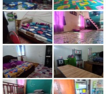 Komodo House | Atta komodo homestay