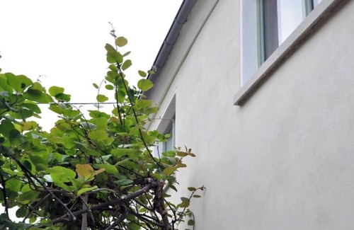 Forst an der Weinstraße Apartment | Attic apartment with a view over the rooftops of Forst for 2-4 people