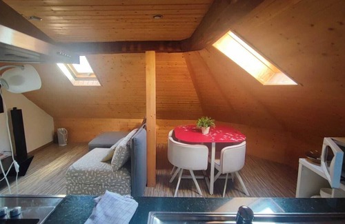 Sihlfeld Apartment | Attic loft with rooftop terrace!