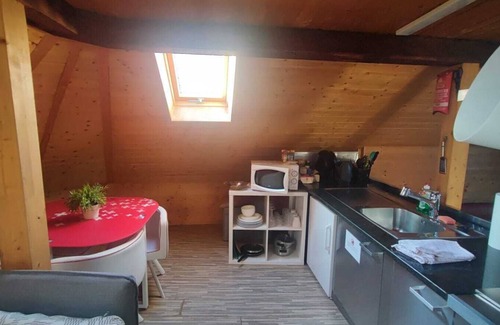 Sihlfeld Apartment | Attic loft with rooftop terrace!