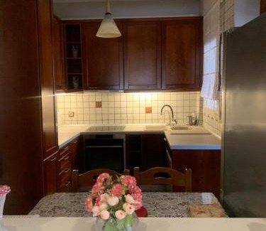 Nea Palatia Apartment | Atticview2