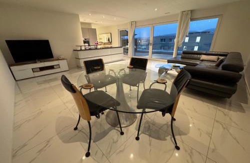 Obergosgen Apartment | Attika Loft Wohnung 3.5 Zi. 110m2 Neu Bau