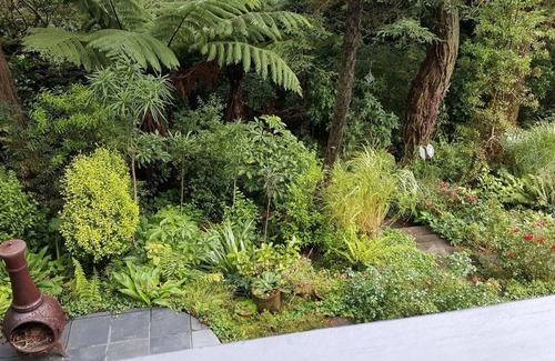 Johnsonville Apartment | Attractive and cosy studio apartment with miniumum of two nights stay
