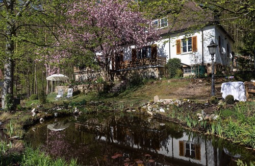 Weissenbrunn Apartment | Attraktive Wohnung in Franken mit Garten