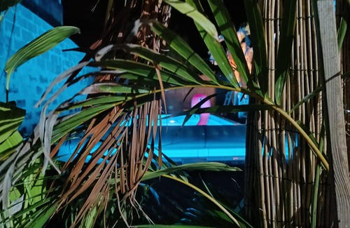 Bras-Panon Apartment | Atypical kreol apartment with swimming pool near Salazie Takamaka.