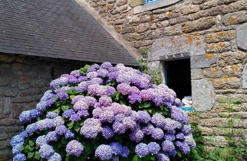 Plescop Apartment | Atypical studio in Brittany. Pets allowed.