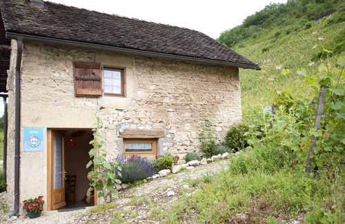 Plaine de l'Ain House | Au Caveau D'oncin - Montagnieu