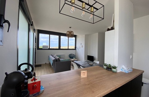 Mimizan-Plage Apartment | Au Pied de la Dune, Terrasse de L'océane A12 3