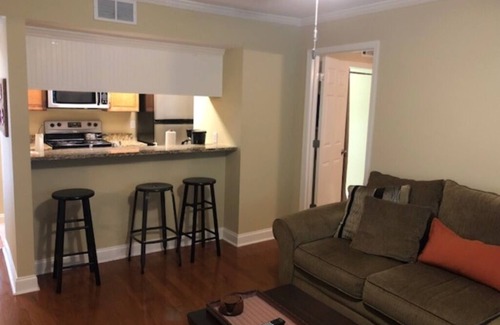 Auburn Condo | Auburn Al Game Day Condo <1 block to Toomer's Corner WAR EAGLE!