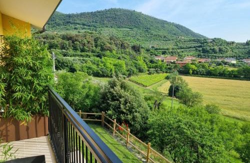 Arqua Petrarca Bed & Breakfast | AURA Dimore ad Arquà Petrarca