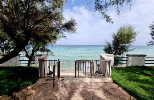Torre Canne Bed & Breakfast | Aurelia Sea View