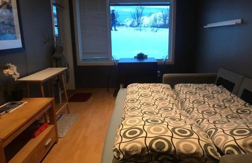 Tromso Apartment | Aurora Borealis