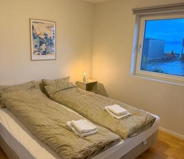 Tromso Apartment | Aurora borealis Tromso