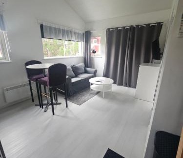 Jukkasjarvi Villa | Aurora Jukkas Lodge 2 - Arctic Suite