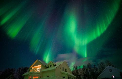 Lyngen Other | Aurora Wonderland- Cozy glass- roof cabins