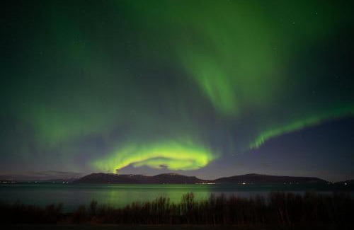 Lyngen Other | Aurora Wonderland- Cozy glass- roof cabins