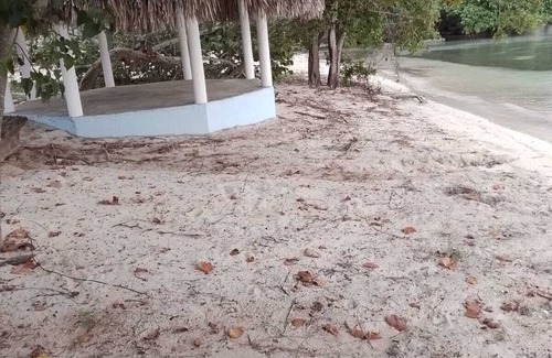 Little Bay Cottage | Authentic Jamaican Vibe Fruit Tree Beach, Little Bay Jamaica