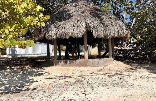 Little Bay Cottage | Authentic Jamaican Vibe Fruit Tree Beach, Little Bay Jamaica