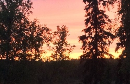Ridgeway House | Authentic log cabin on Loon Lake, Privacy only 2 miles to downtown Soldotna.