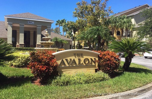 Clearwater Condo | Avalon at Clearwater - Royal Marina - Minutes to Clearwater Beach