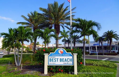Clearwater Condo | Avalon at Clearwater - Royal Marina - Minutes to Clearwater Beach
